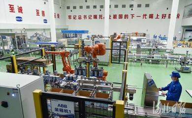 河北奶業(yè)振興之路 以質(zhì)量安全為基，大額資金筑牢發(fā)展防線